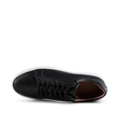 SHOE THE BEAR MENS Aphex sneaker leather Sneakers 110 BLACK